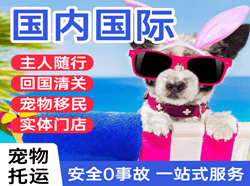 武汉航空邮寄国际宠物托运 【国